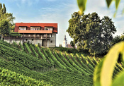 weingut assigal