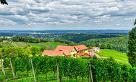 weingut elsnegg