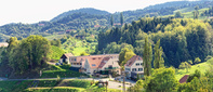 Weingut Tscheppe am Pössnitzberg