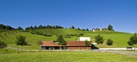 Weingut Erwin Sabathi