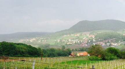 Weinhof Sorger