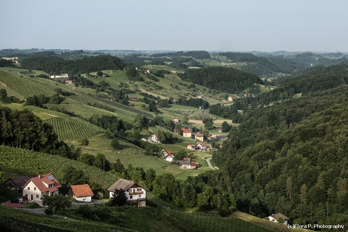 Das steirische Weinjahr 2019 Das steirische Weinjahr 2019