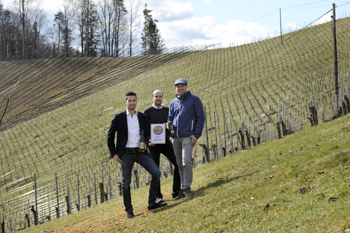 Concours Mondial du Sauvignon 2021 - Top Ergebnisse für die Steirischen WinzerInnen! Concours Mondial du Sauvignon 2021 - Top Ergebnisse für die Steirischen WinzerInnen!