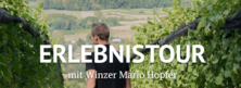 Wein & Erlebnistour Weingut Hopfer