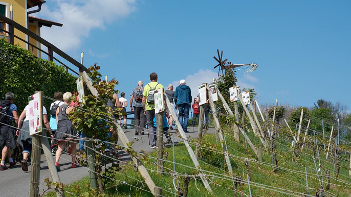 Weinweg der Sinne Musikwandertag