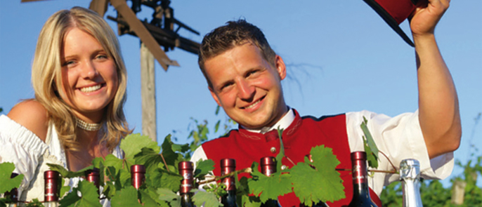 Es gärt beim Weingut Pauritsch Es gärt beim Weingut Pauritsch