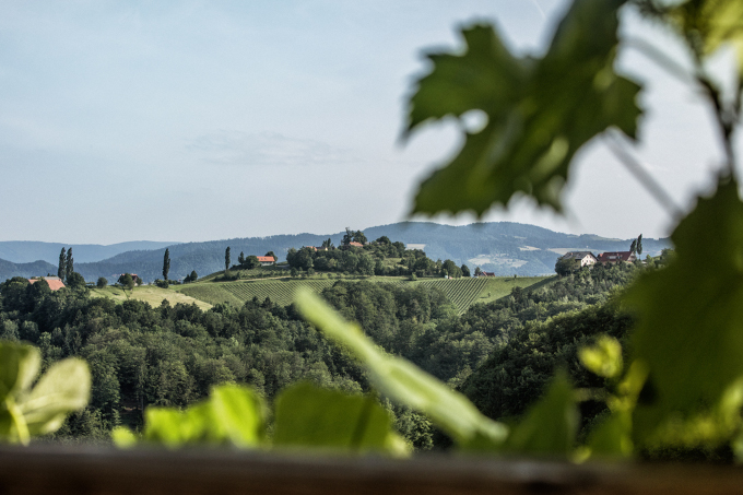 Der Steirische Weinjahrgang 2020 Der Steirische Weinjahrgang 2020