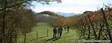 Auf Schusters Rappen durch die Weinberge Auf Schusters Rappen durch die Weinberge