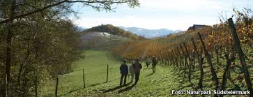 Auf Schusters Rappen durch die Weinberge