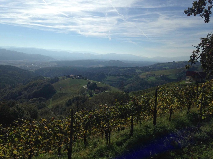 Österreich ist beste Weinreise-Destination Europas