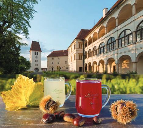 Sturm-Kastanien-Musik beim bischöflichen Weinkeller Schloss Seggau