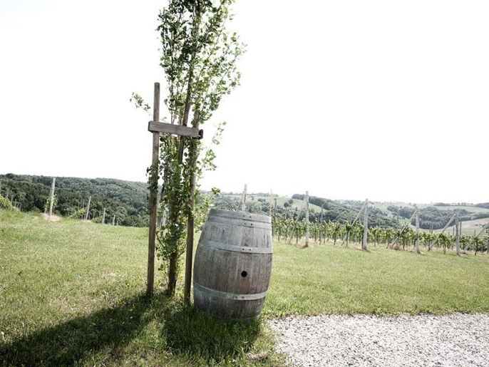 Die 100 besten Weine der Region Die 100 besten Weine der Region