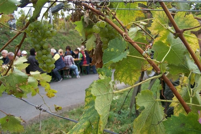 Weinbergfest Klöch