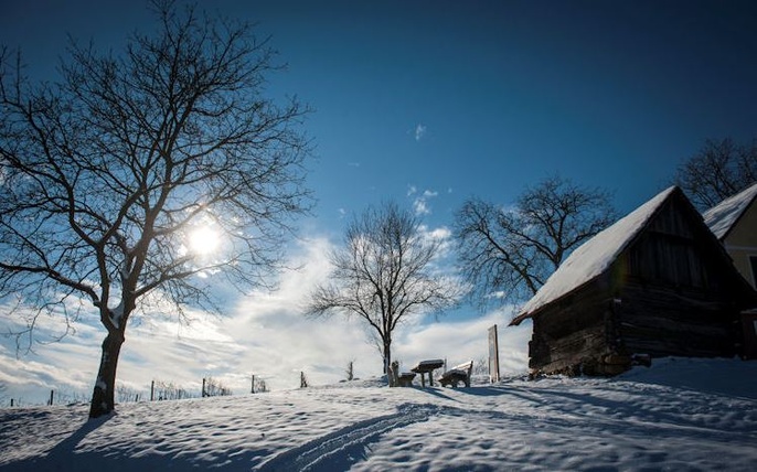 Weinwinter in der Südsteiermark