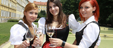 Neue Weinhoheiten für die Steiermark