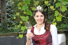 Anne I: Der neue Jahrgang kommt in die Flasche