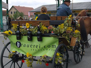 Brauerei und Hopfenmuseum Leutschach